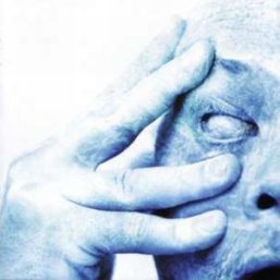 Porcupine_tree_in_absentia